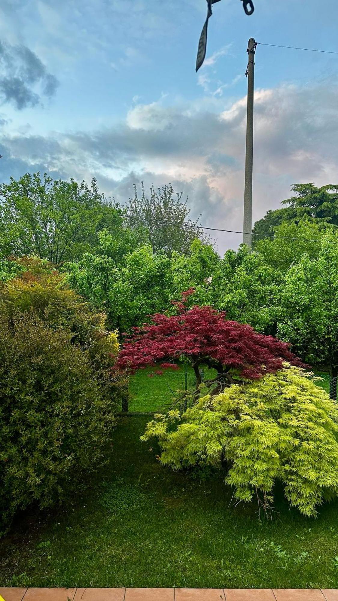 Villa Luisa Gorle Dış mekan fotoğraf